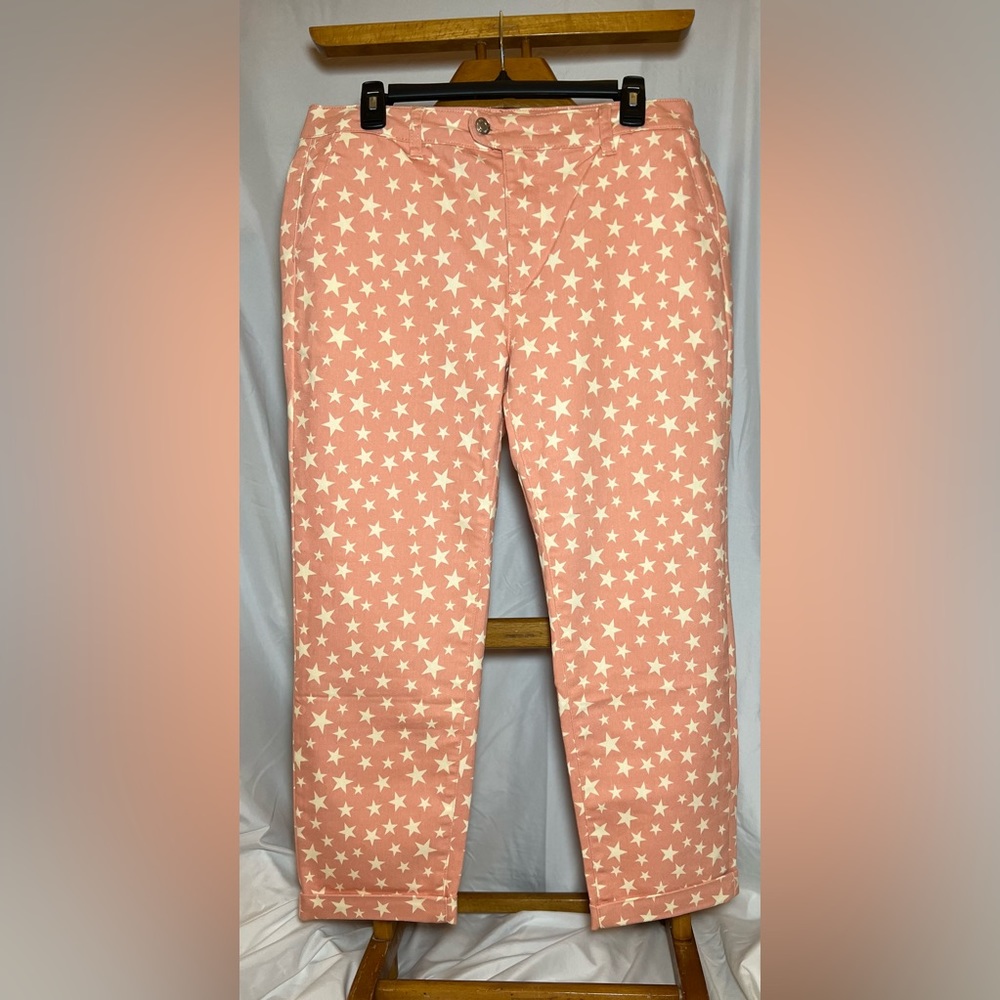 Litz Premium Denim Cropped Pants Size 30
